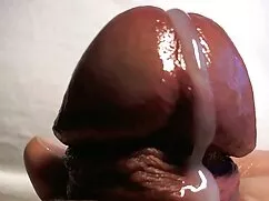 রসালো, স্বামী ও স্ত্ ...