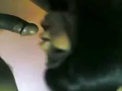 ব্লজব স্বামী ও স্ত্র ...